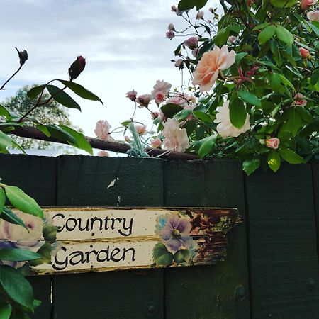 Dragonflycottagebnb Grovetown Exterior foto
