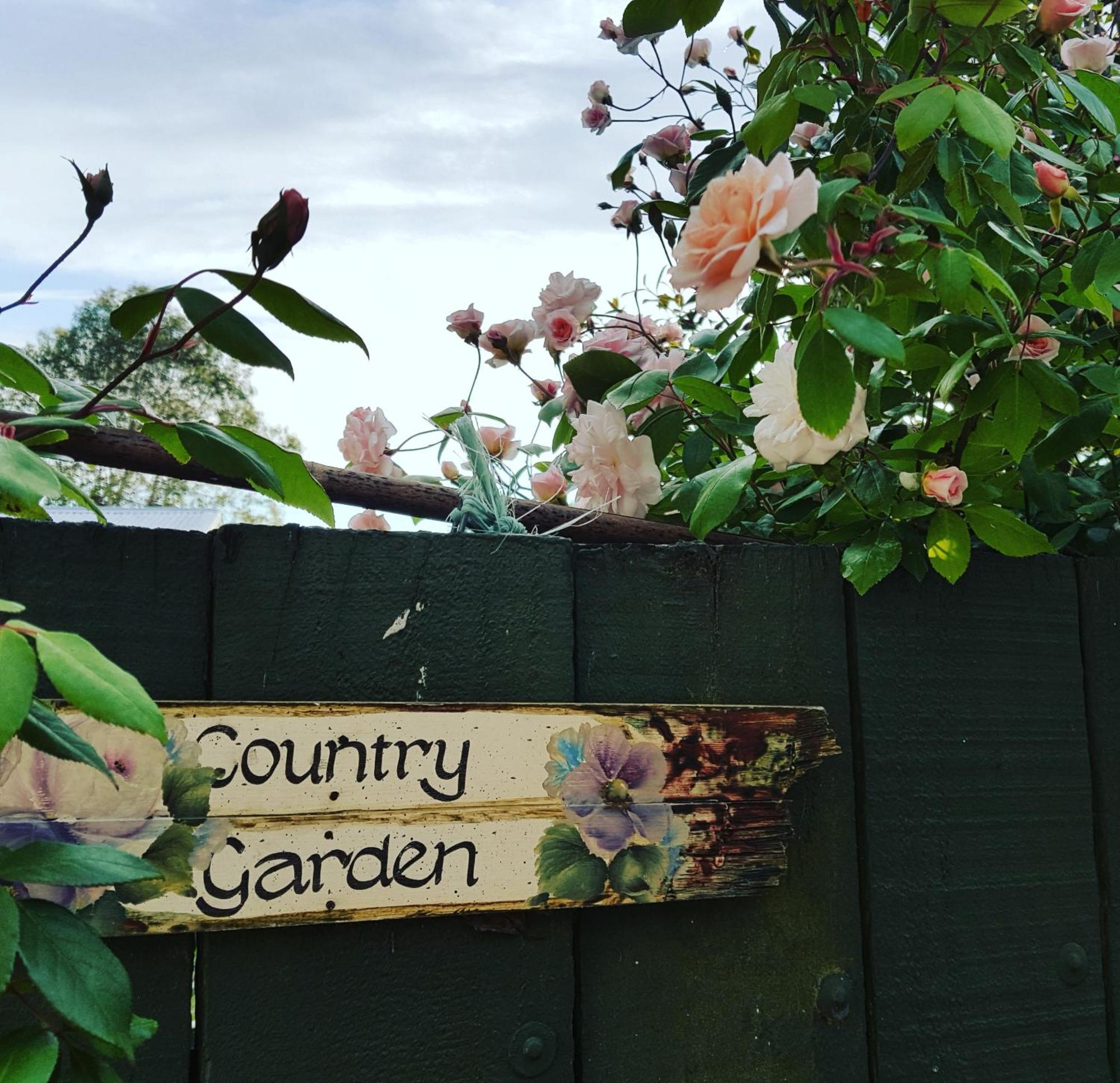 Dragonflycottagebnb Grovetown Exterior foto